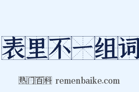 表里不一组词是什么意思的图片
